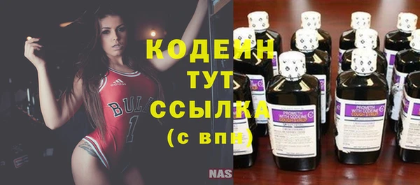 прущие крисы Кулебаки