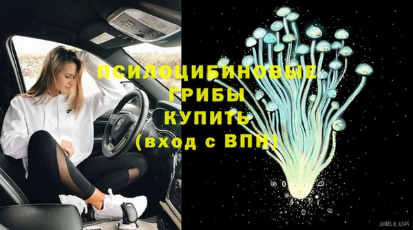 не бодяженный Кукмор