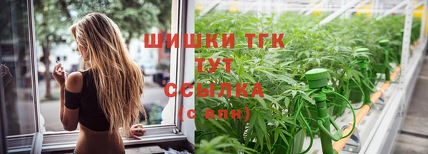стаф Куйбышев