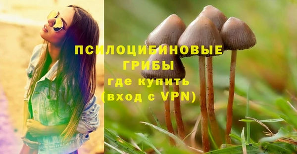 не бодяженный Кукмор